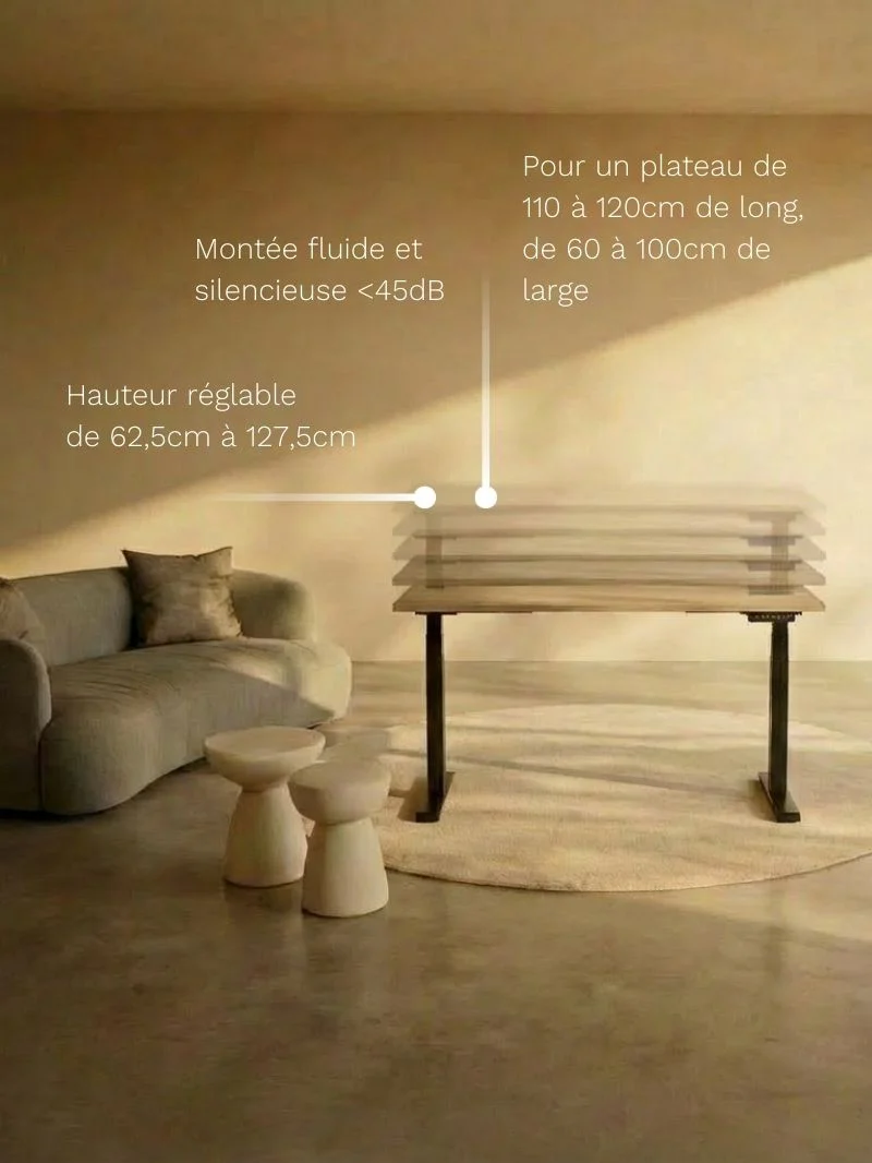 Miniature 5